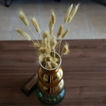 Anna's Place 2b, Paphos, Pool Lejlighed Paphos