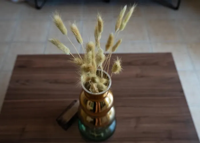 Anna's Place 2b, Paphos, Pool דירה פאפוס